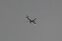 G-LCYL